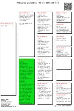17º Final Race 510km - Imagen 2