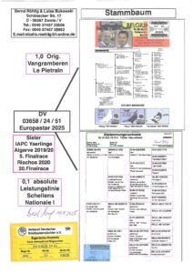 8º Final Race 510km - Imagen 2