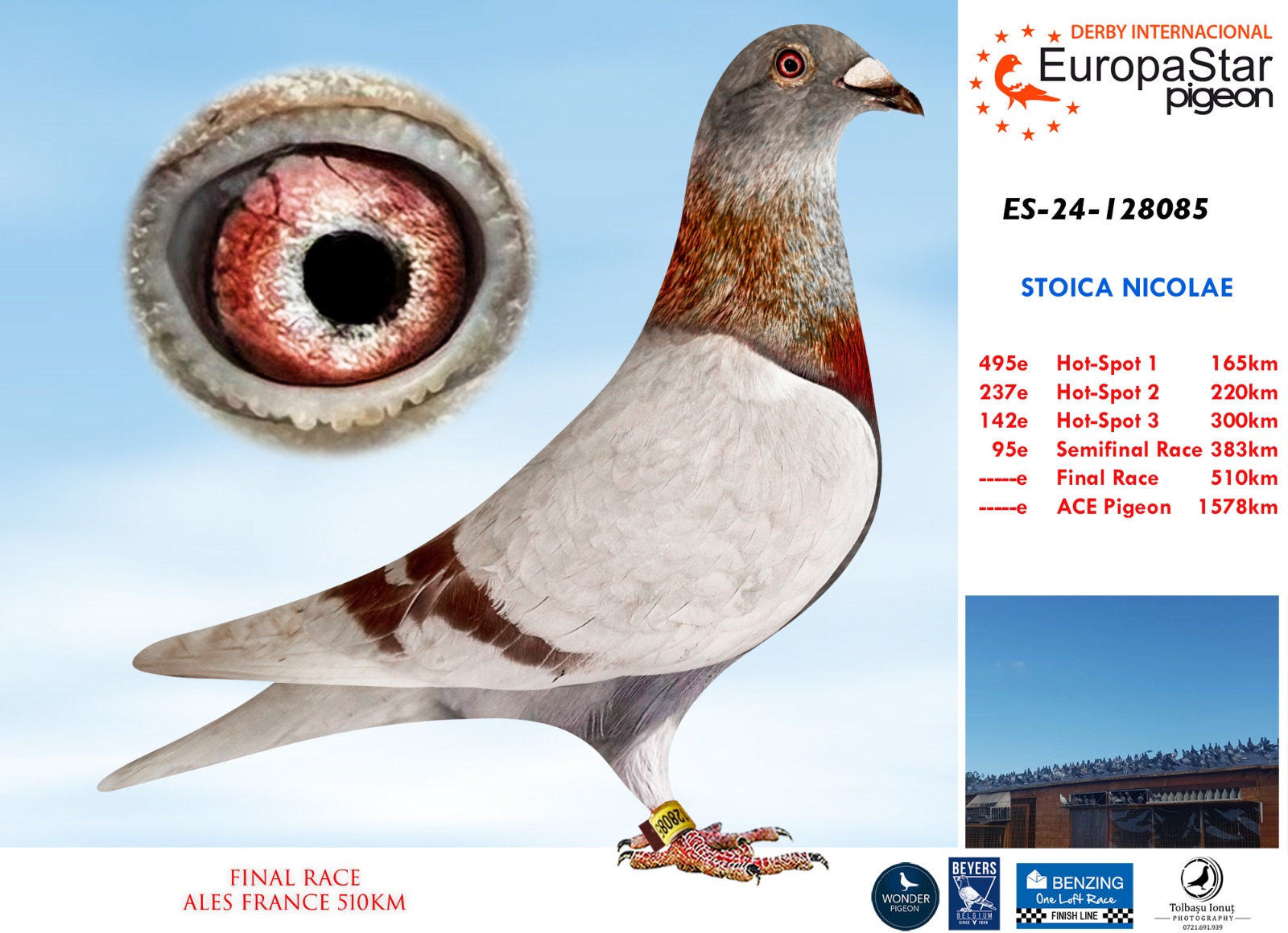 ES-24-128085 STOICA NICOLAE - Imagen 1