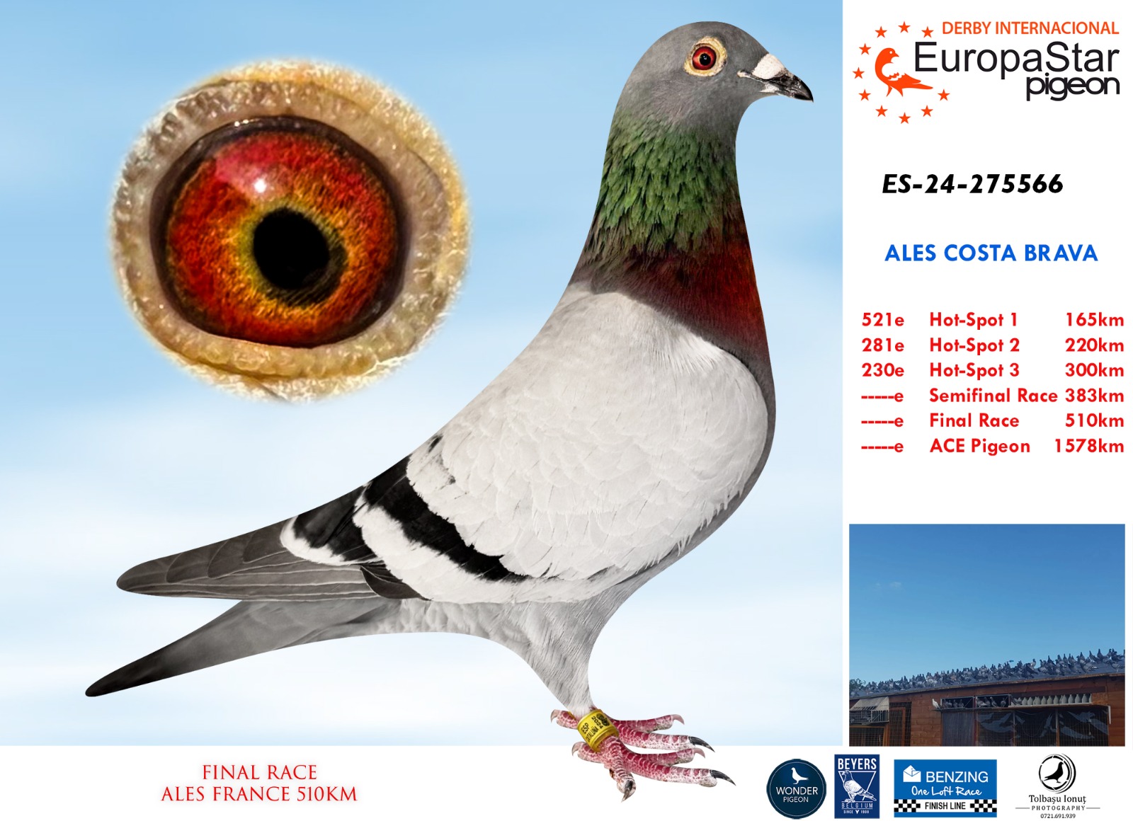 ES-24-275566 ALES COSTA BRAVA - Imagen 1