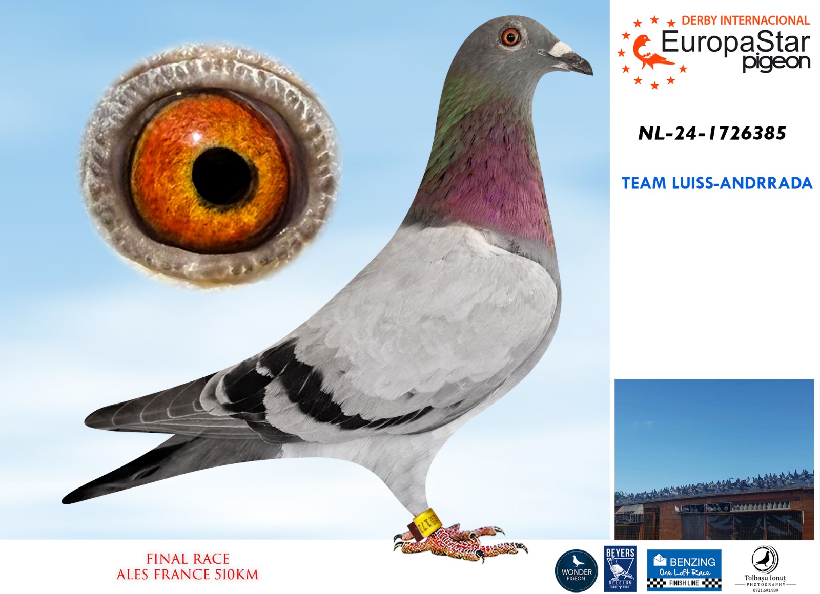 NL-24-1726385 TEAM LUISS-ANDRRADA - Imagen 1