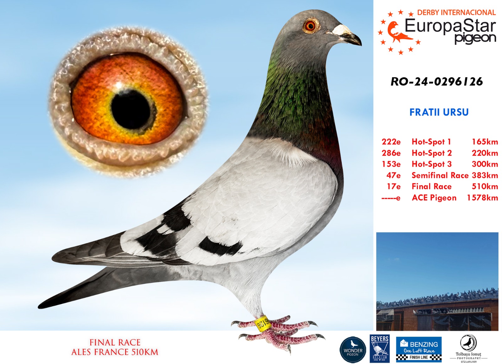 RO-24-0296126 17º Final Race 510km - Imagen 1