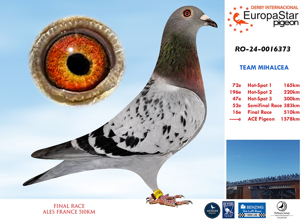 RO-24-0016373 16º Final Race 510km - Imagen 1