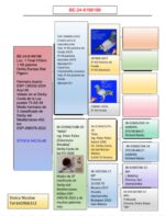 1º - Final Race 510km 🏆 - Imagen 2