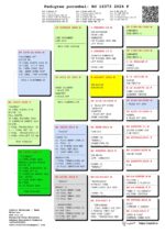 16º Final Race 510km - Imagen 2